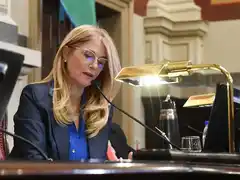 Tenso empate en el Senado bonaerense habilitó la reelección indefinida de legisladores