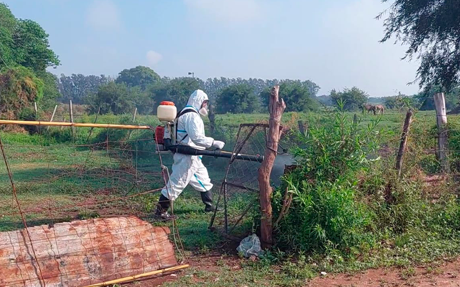 Dengue y mosquitos: fumigan en Río Tala, Castro y Obligado