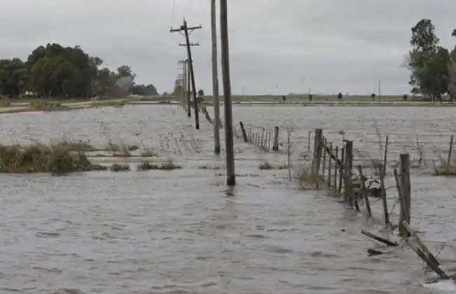 Emergencia y desastre agropecuario para 13 municipios