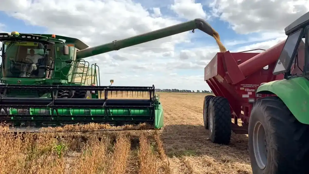 Sorpresivo anuncio: Gobierno elimina retenciones a los granos hasta el 31 de octubre para acelerar el ingreso de dólares