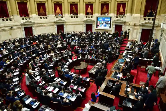 Diputados rechazaron el veto de Milei a la ley de emergencia en discapacidad