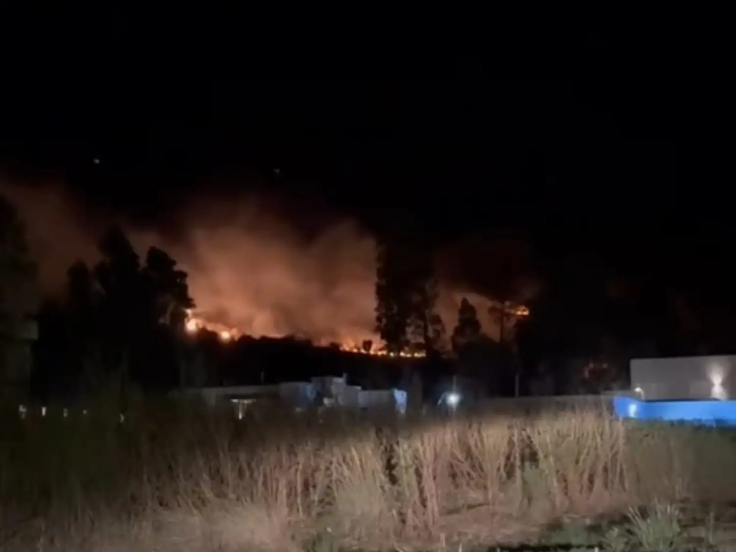 Se quemaron seis hectáreas en el Cerro Los Nogales.