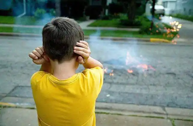 Piden respetar normativa y proteger
a personas vulnerables y mascotas