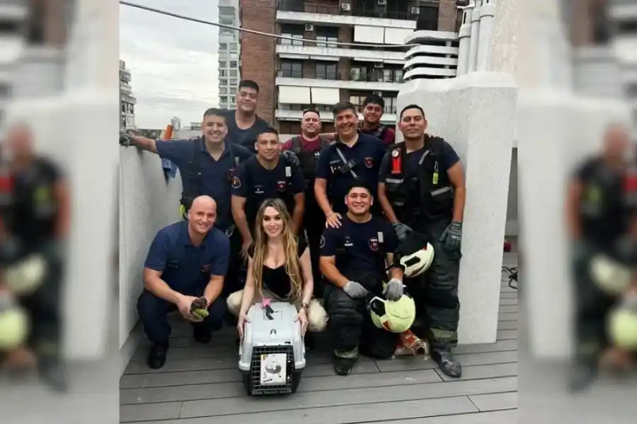 Bomberos rescataron al gato de Fátima Florez 