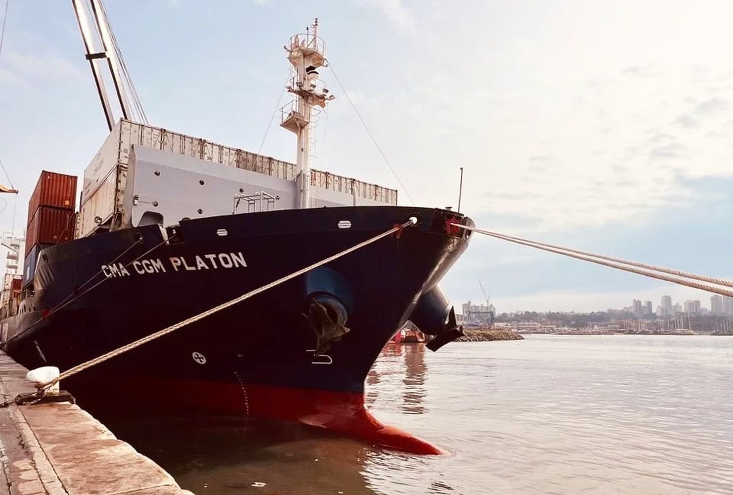 Puerto de Mar del Plata: con la llegada de una naviera francesa comenzó la puja por una licitación de la terminal