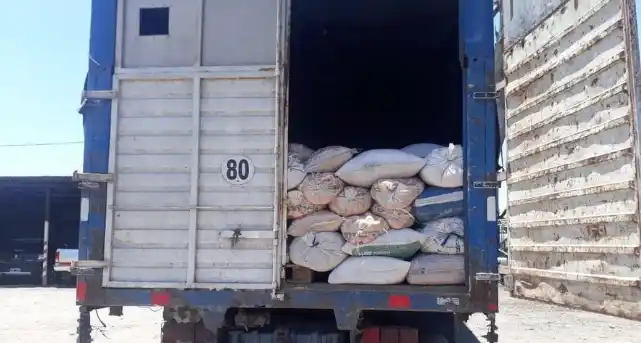 Secuestran camiones con maíz que provendría de un tren saqueado