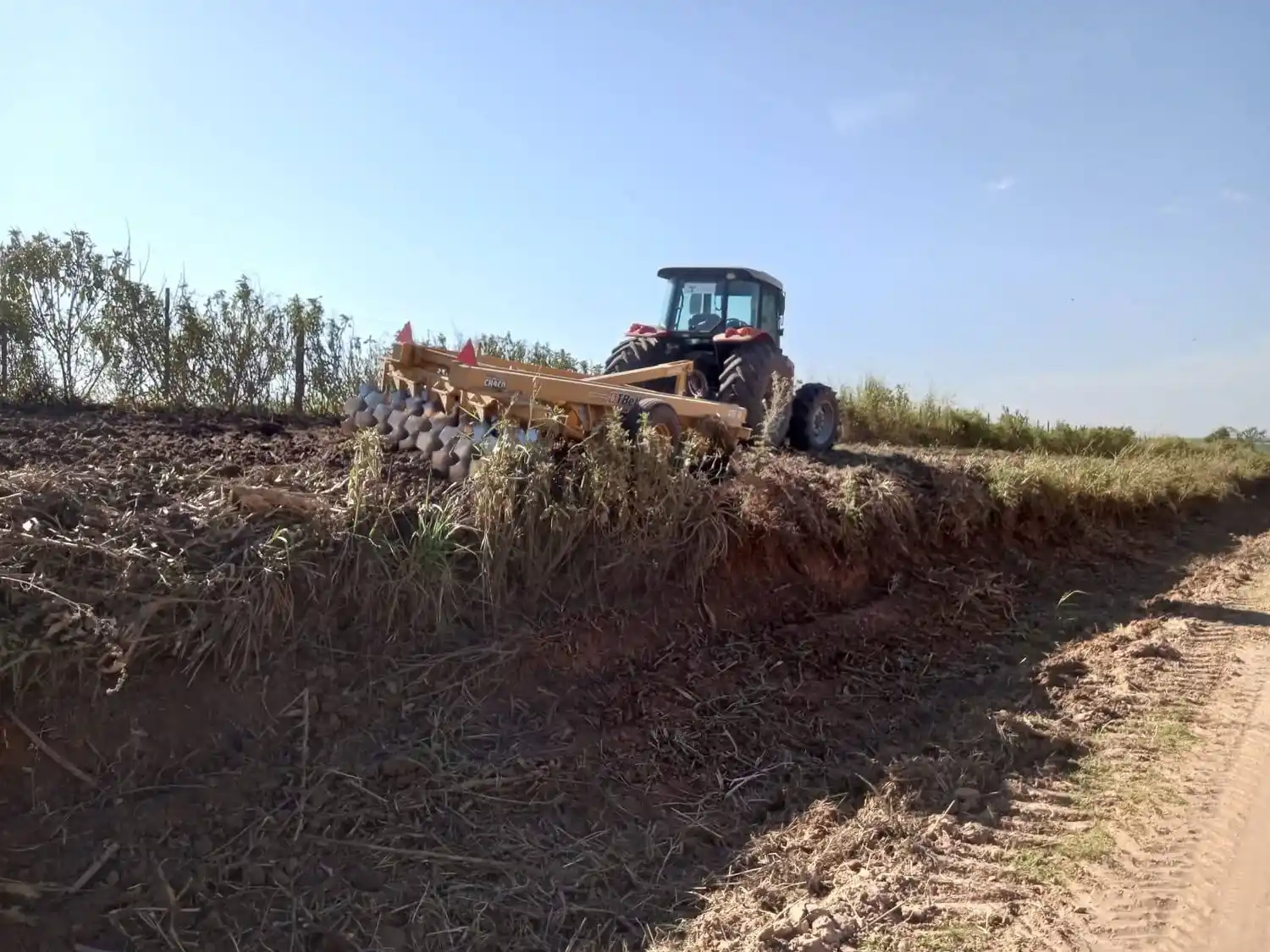 Sexto Distrito: avanzan en la recuperación de caminos rurales y la limpieza de banquinas