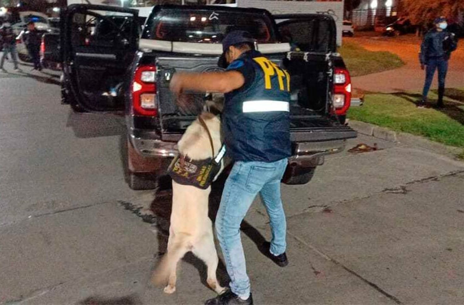 Policía Federal secuestró drogas e identificó a 14 personas