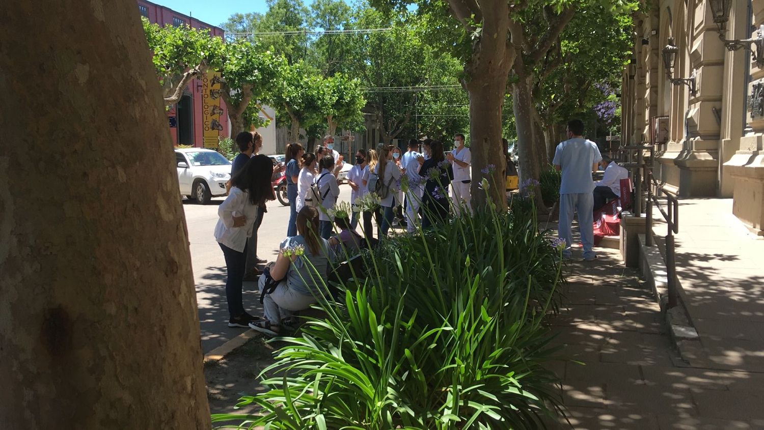 Paro de Cicop: médicos manifiestan frente a la municipalidad