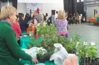Este sábado se llevará a cabo la Feria Verde y Artesanal en la Universidad Barrial de Villa Aguirre