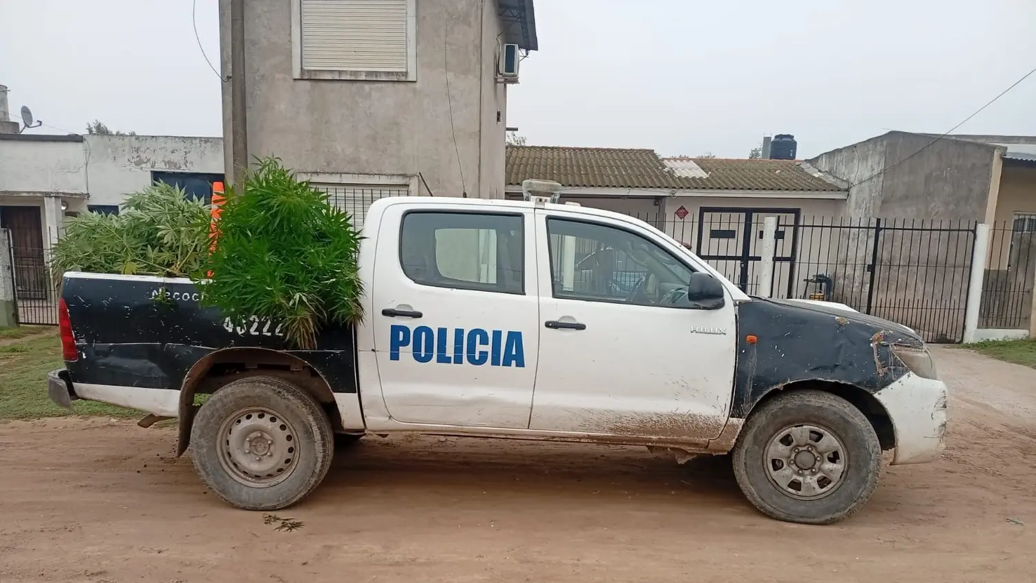 Allanamiento. Realizado en la madrugada de ayer en un domicilio de calle 57