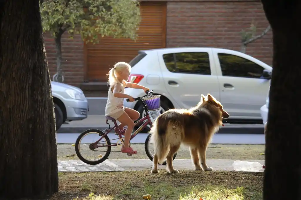 #Instantáneas: Bicicleta