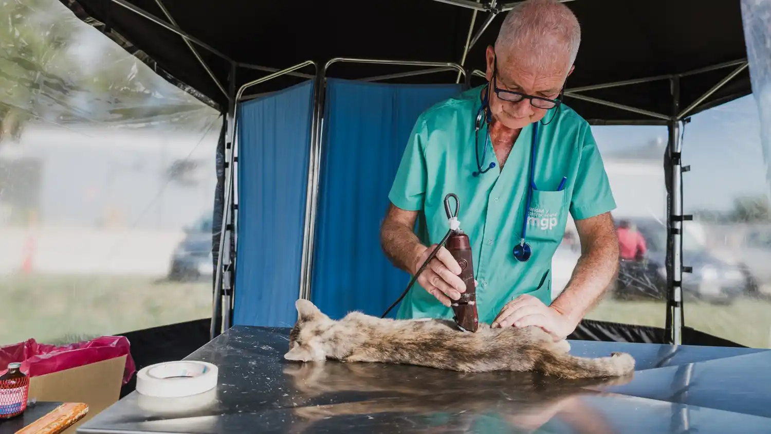 Quirófanos móviles para mascotas: anuncian nuevas sedes y fechas en distintos barrios