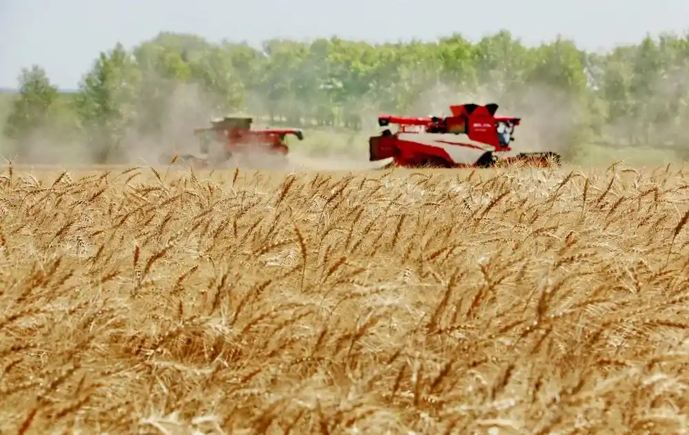 El PBI creció 2,3% en el primer trimestre, con subas del agro, minería y finanzas
