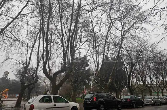 Duró menos que chocolate en la heladera: se va el sol y vuelve el frío en Mar del Plata