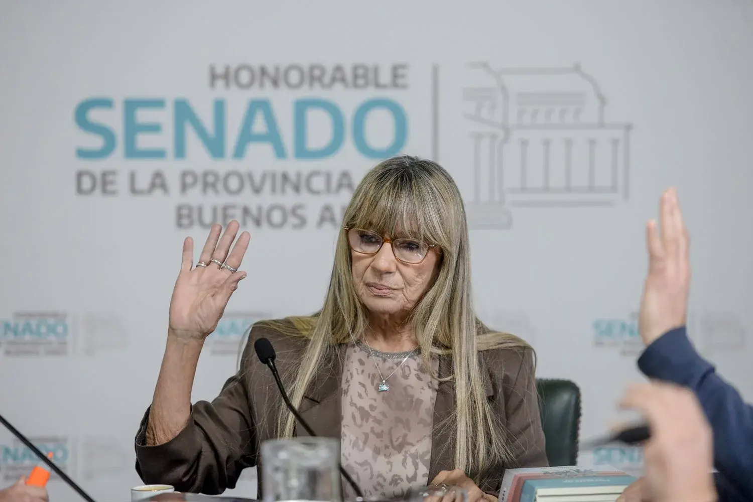 Educación socioemocional y “Mes Salamone”: de qué se tratan los proyectos que avanzaron en el Senado bonaerense