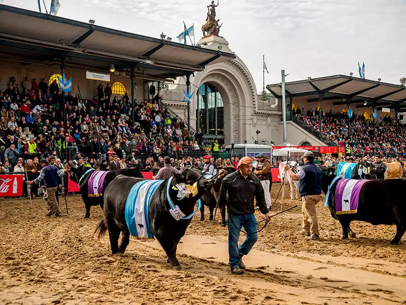 El director de Asuntos Agropecuarios del Municipio disertará en la Exposición Rural de Buenos Aires