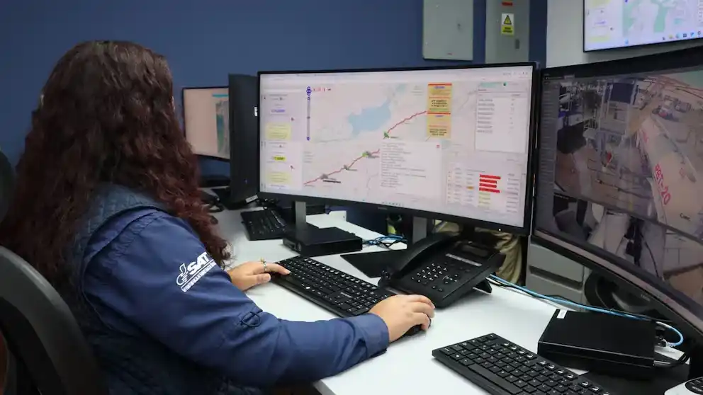 El Cerebro del Leviatán