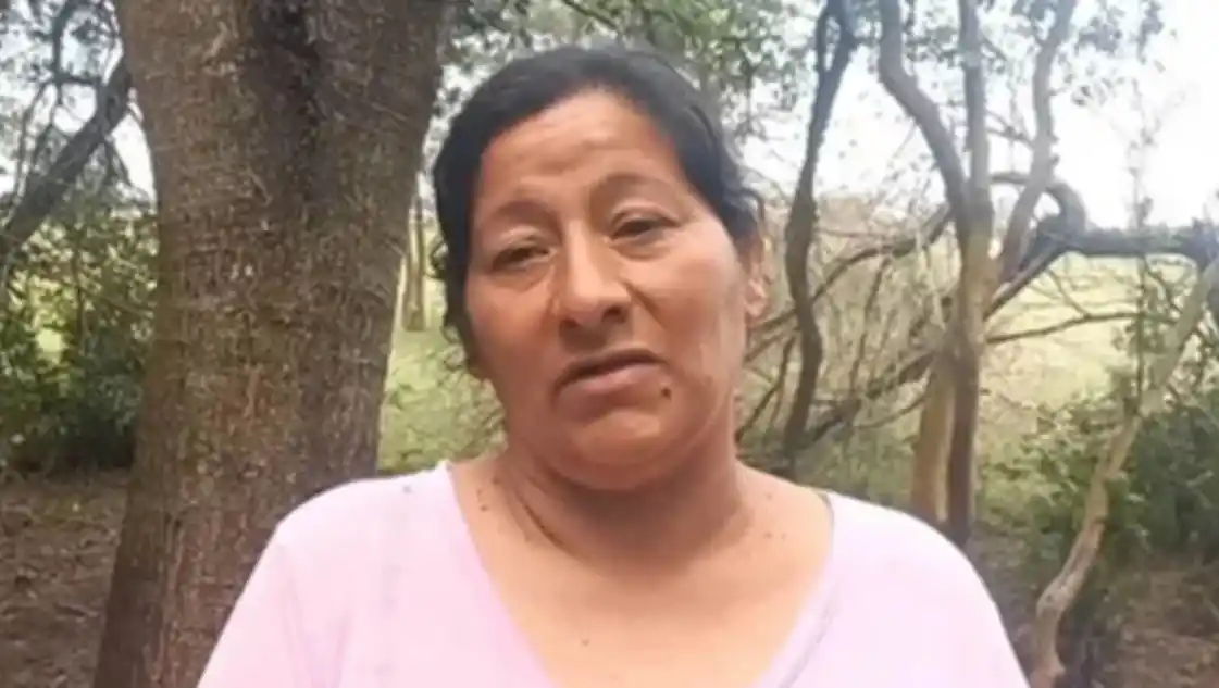 Caso Loan: detuvieron a Laudelina, la tía del pequeño desaparecido