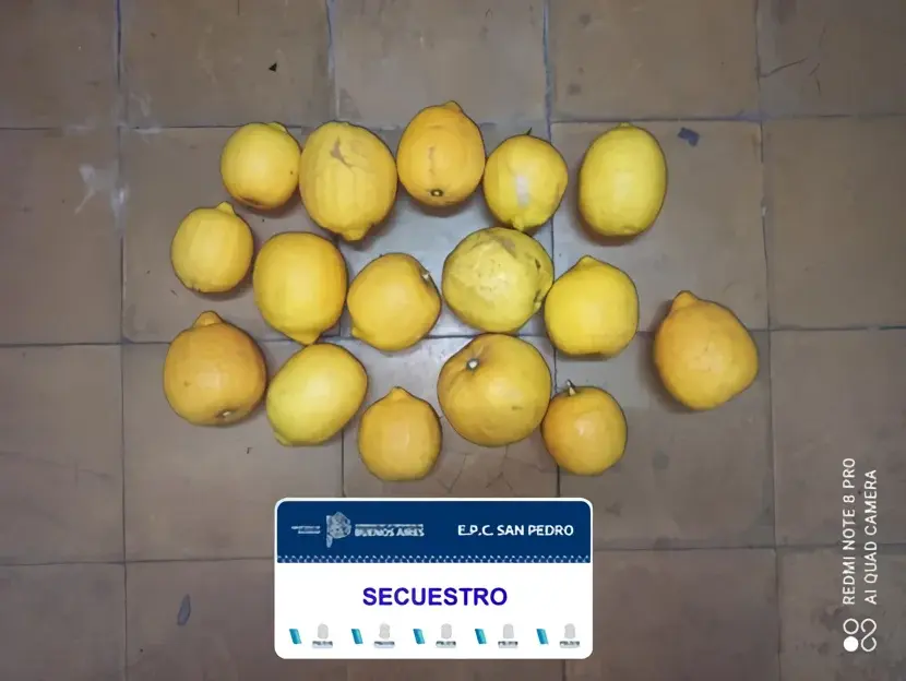 Los limones fueron secuestrados por la policía.