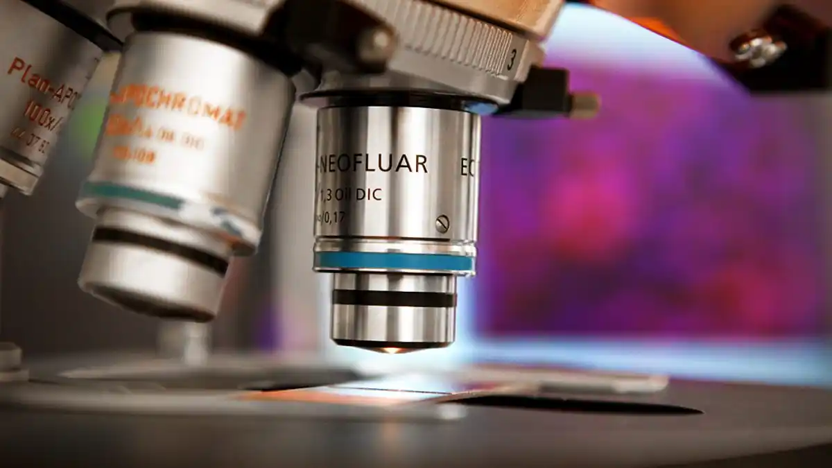 Científicos adoptan enfoque «darwiniano» para prevención del cáncer