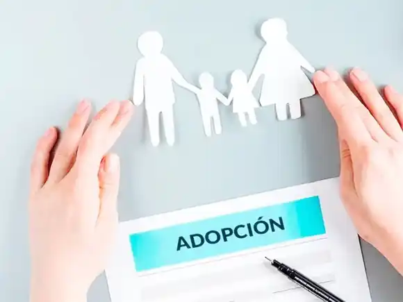 Hoy continúa en Diputados el debate para modificar el régimen de licencias por adopción de los empleados públicos