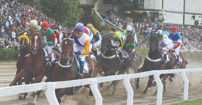 Jueves 17: Actividad Hipódromo de Palermo