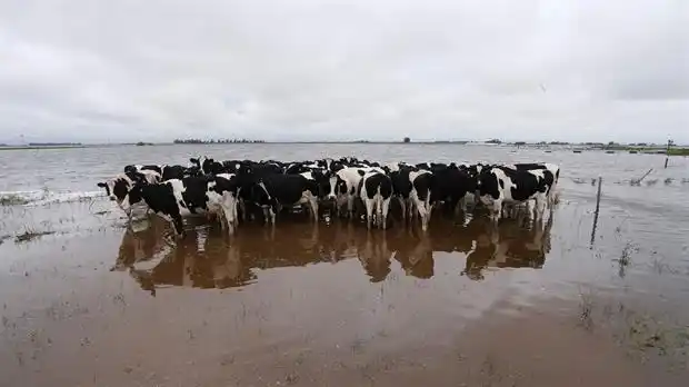 Tamberos bonaerenses reclaman mejoras en caminos rurales para poder sacar la producción