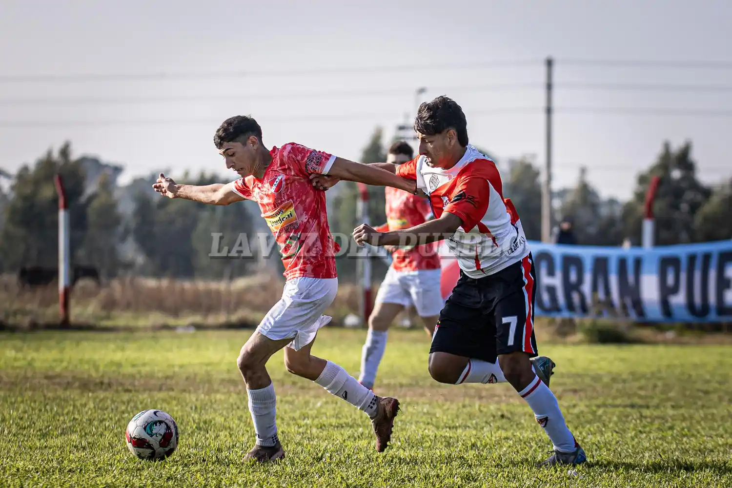 Argentino-agrario - 18