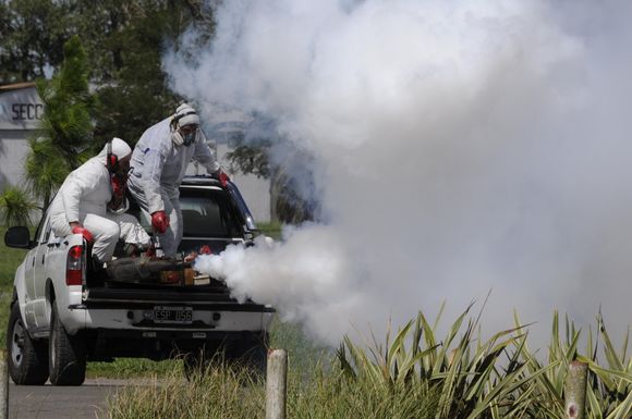 La Municipalidad de Rosario refuerza las fumigaciones en espacios verdes tras las tormentas