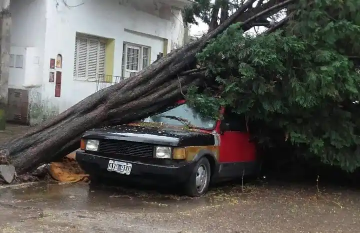 El temporal en imágenes