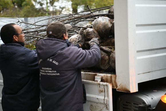 Se lanzó la tercera etapa del Plan para implantación de pasturas en el sudoeste