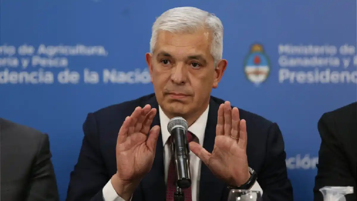Domínguez: “No habrá limitaciones a las exportaciones de carne”