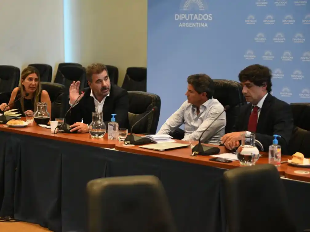 Ritondo: “Nadie puede decir cómo va a votar un texto que no conoce”