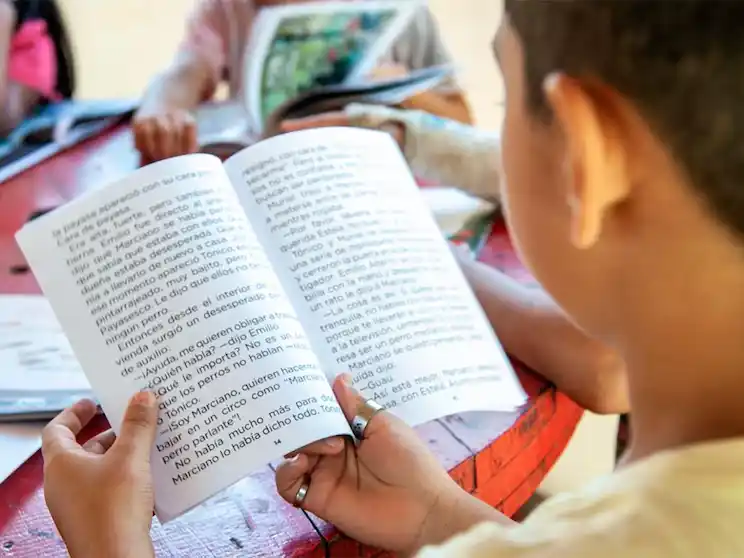 El 13% de los estudiantes afirma que no tiene ningún libro en formato papel en su hogar, mientras que un 24% indica tener entre 1 y 5 libros.