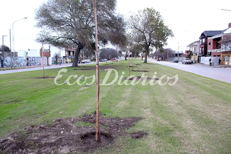 Plantan árboles en la avenida 59 y construirán una bicisenda