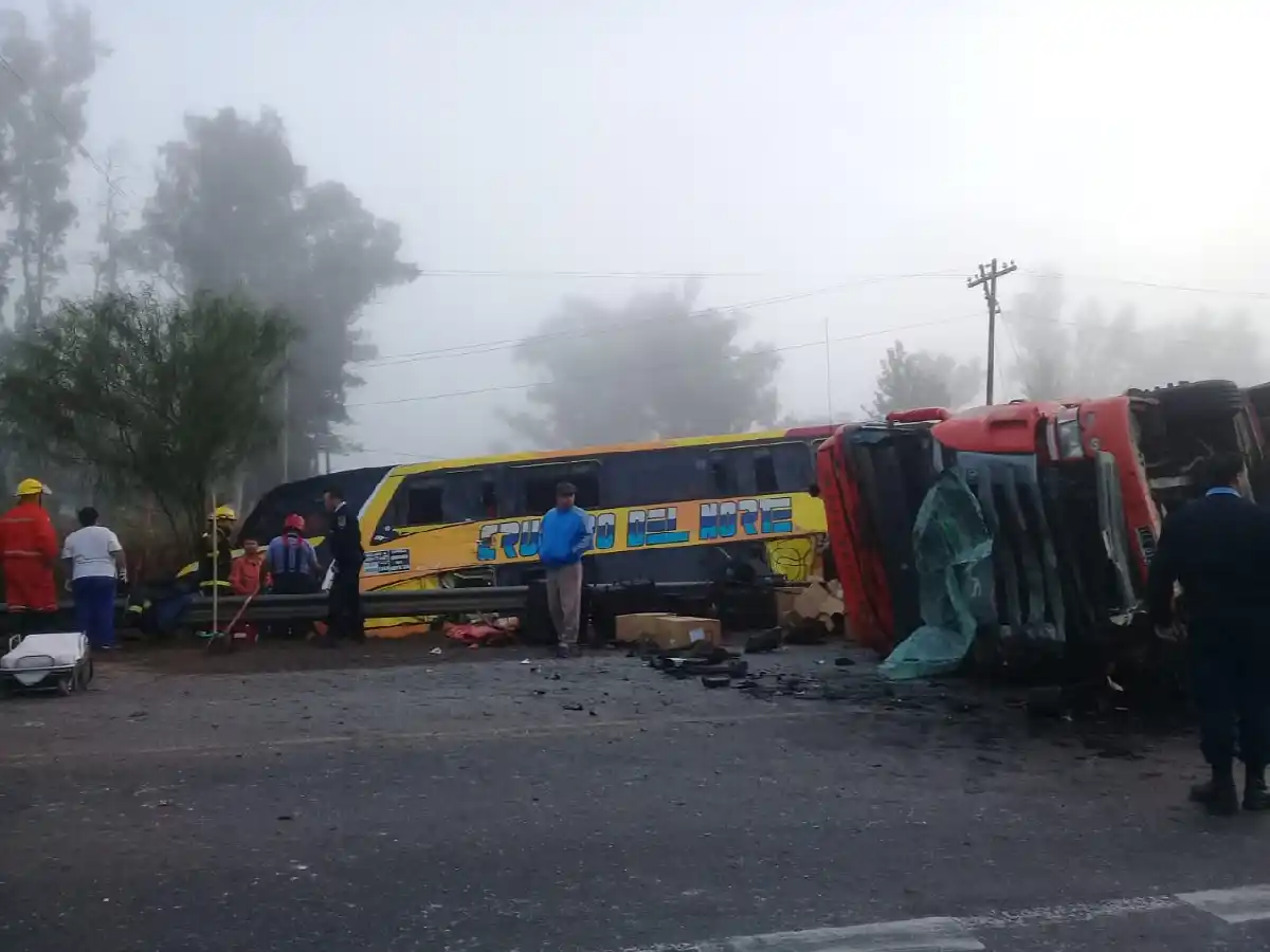 Liberaron al camionero que protagonizó fatal choque con ómnibus pero sigue imputado 