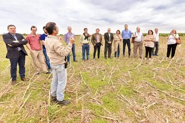 La provincia fiscalizará con la Policía y la Justicia la fumigación de campos