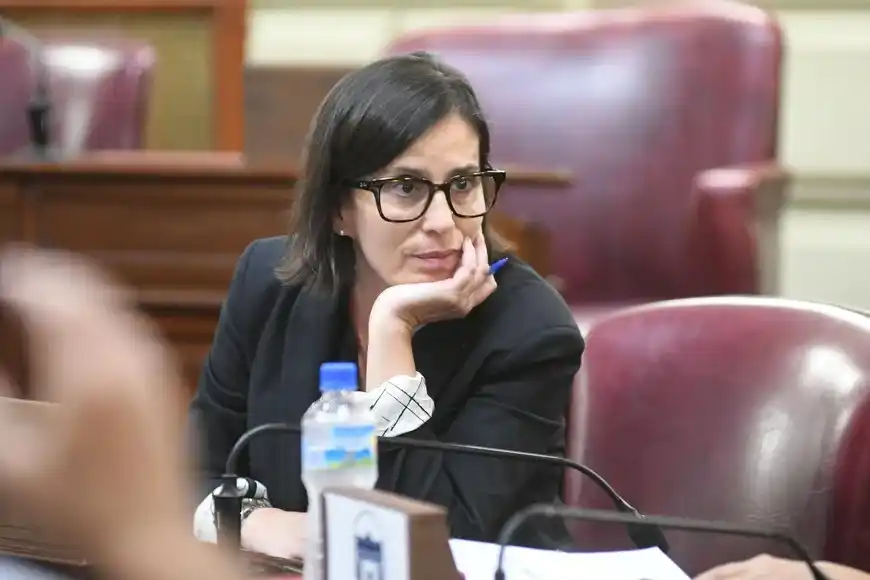 Cámara de Diputados de la Provincia de Santa Fe. Ley Antimafia