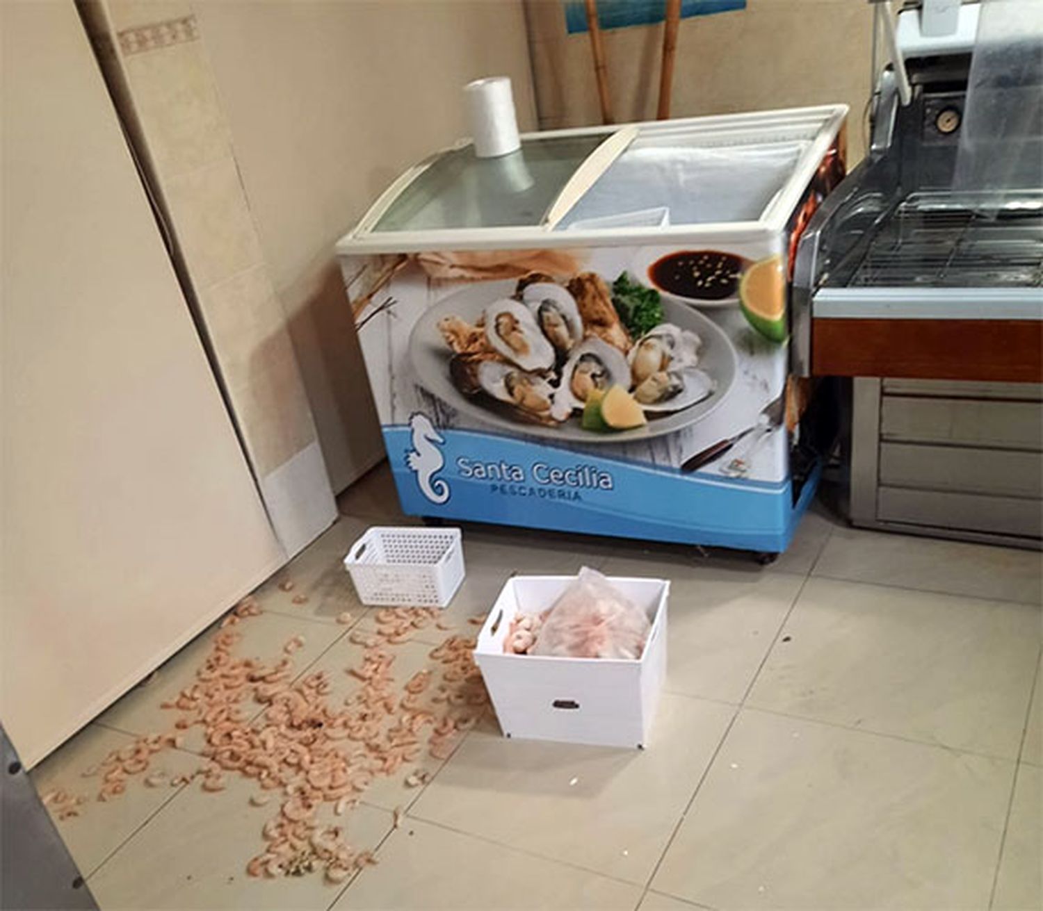Roban en una pescadería y vacían un céntrico comercio