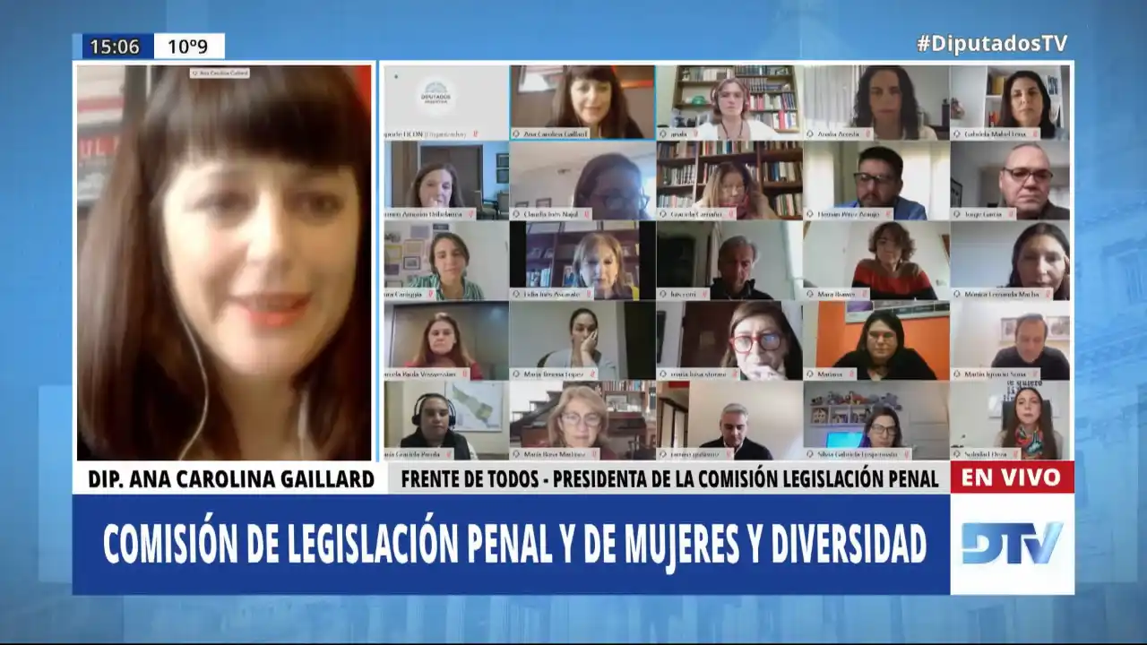 Diputados analizó proyectos sobre justicia penal y género con especialistas a nivel federal