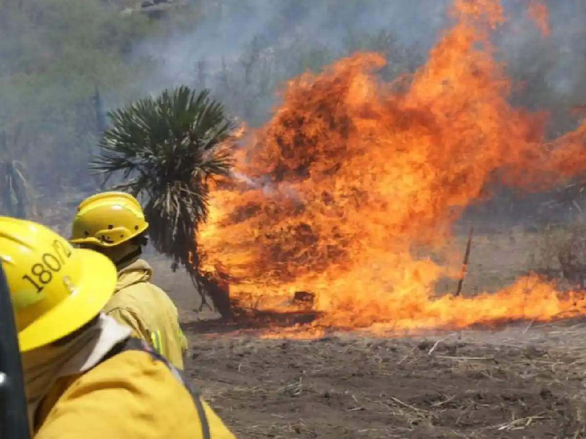 Por las condiciones climáticas, pronostican más incendios