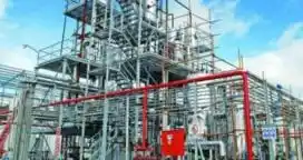 Fallo a favor del biodiesel argentino en el litigio con Europa