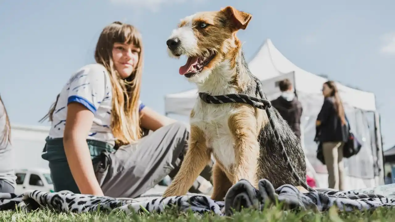 Castraciones gratuitas: nuevos puntos de los quirófanos móviles