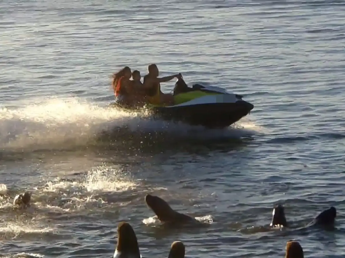 El hecho ocurrió en la tarde del sábado en la zona del puerto.