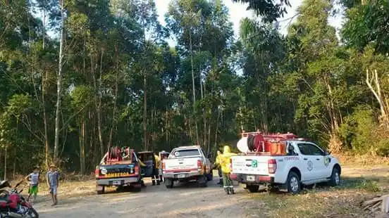 El Gobernador dispuso que el Plan del Fuego asista en el incendio de Concordia
