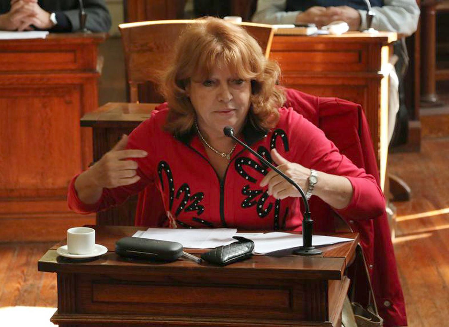 Reclaman al Ejecutivo que devuelva un proyecto sobre tránsito