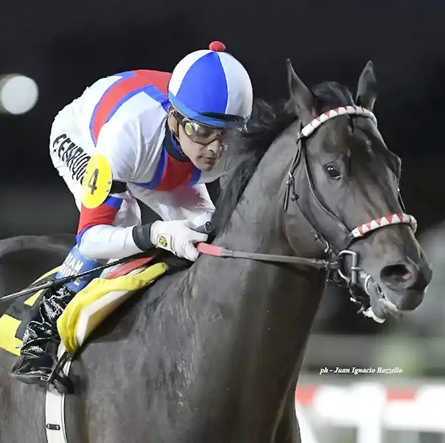 Viernes 22: Actividad Hipódromo de Palermo