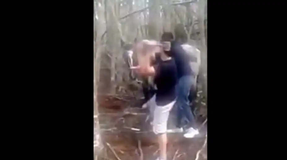 Van a juicio por maltrato animal por matar a martillazos a un caballo