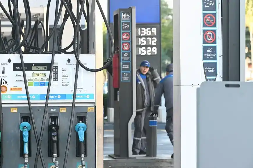 Ranking elaborado por subtipo de combustible y por provincia. Crédito: Flavio Raina